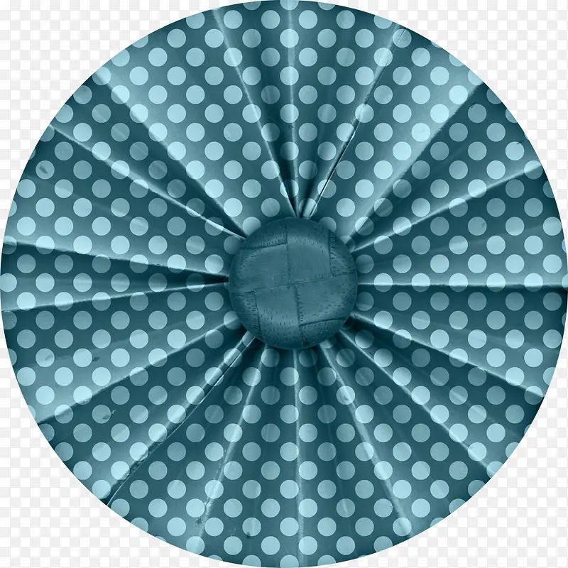 ���㻨��-������