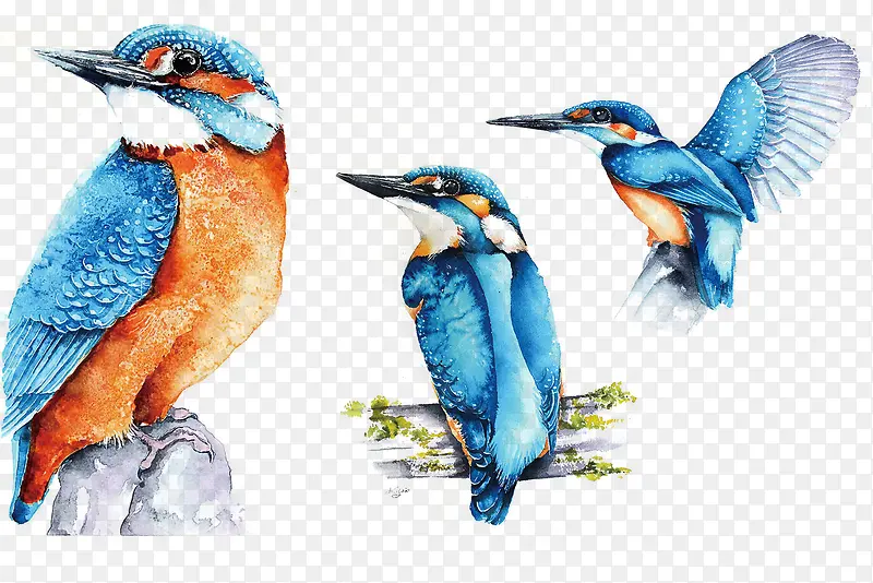 ����ˮ�ʲ�ͼ-������