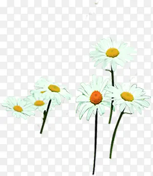 ��ɫ���컷������-������