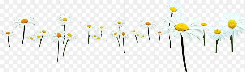 ��ɫ���մ���װ��-������