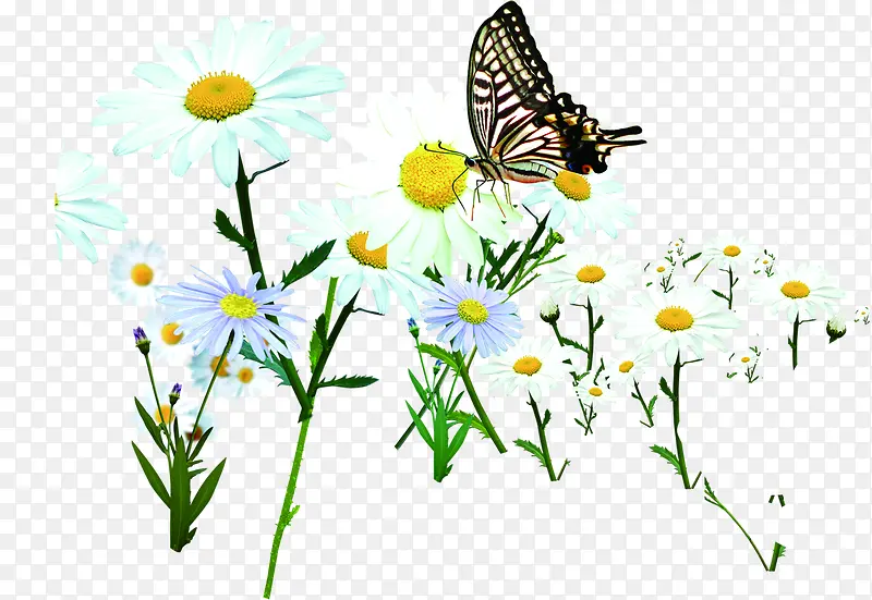 ��ɫ���պ���װ��-������