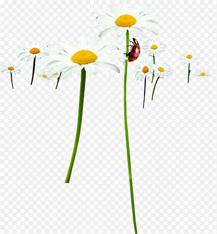 �����ɫ��������-������