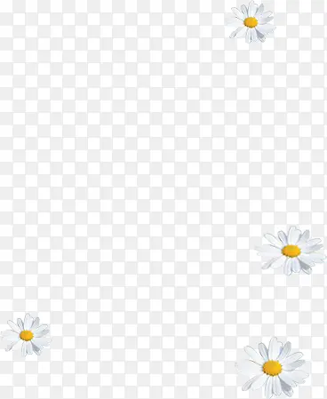 �������°�ɫ����-������