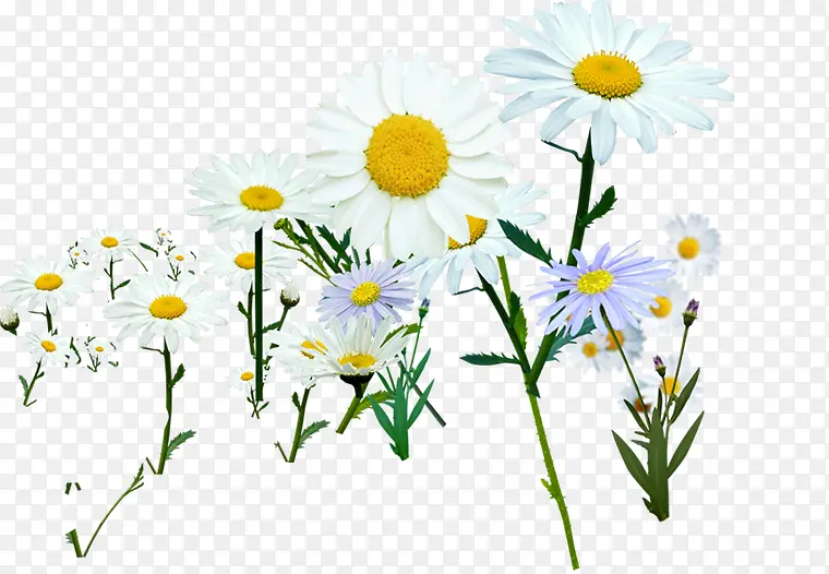 ������ɫ��������-������