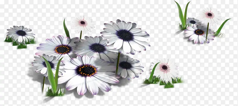 ������ɫ���³���-������