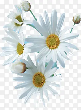 ��ɫ����ҽ���ز�-������