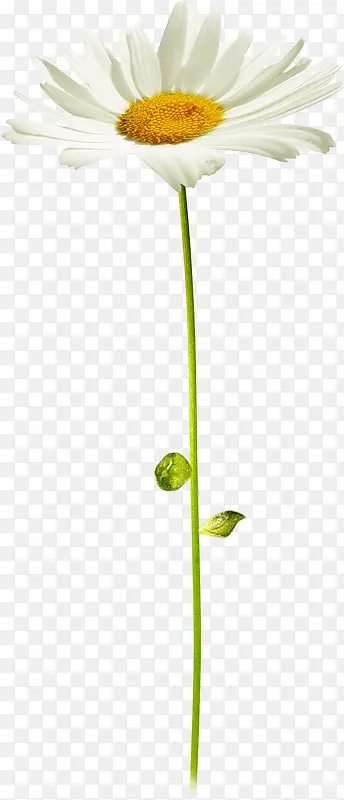 ��ɫ����ͼƬ-������