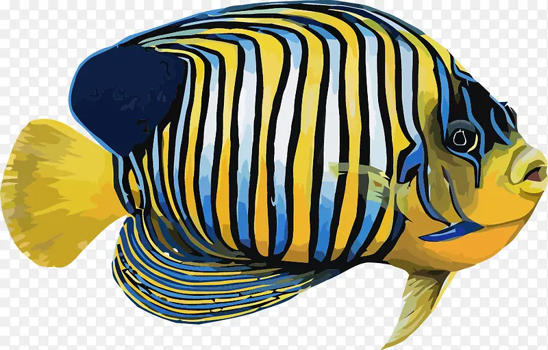 ʸ�������-������