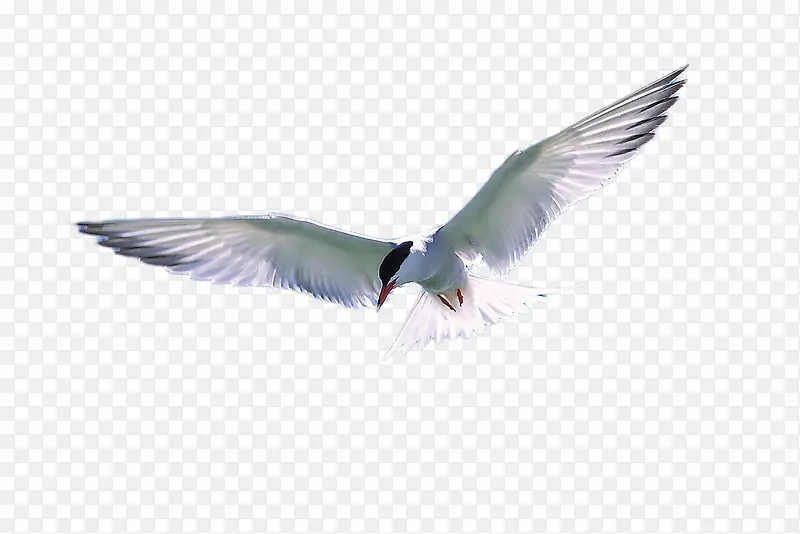 ����-������