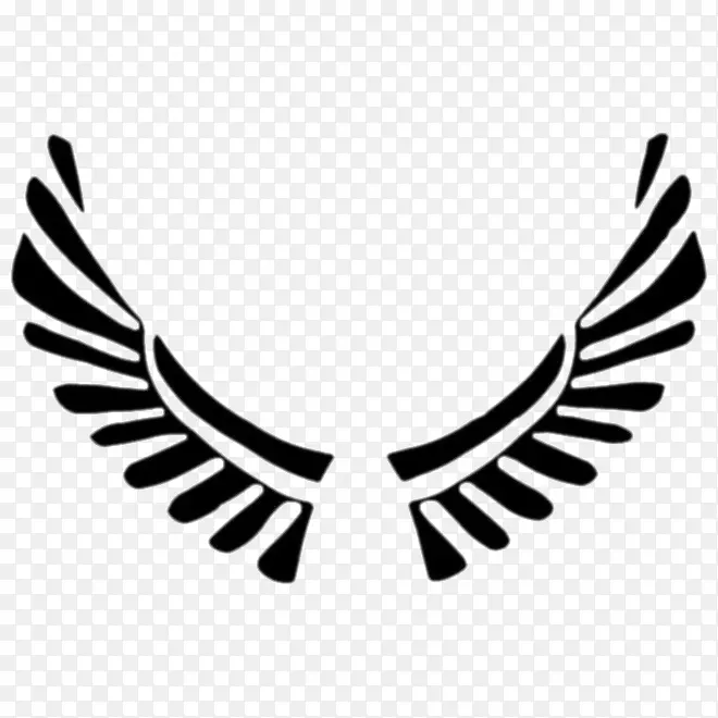 ��ɫ���-������