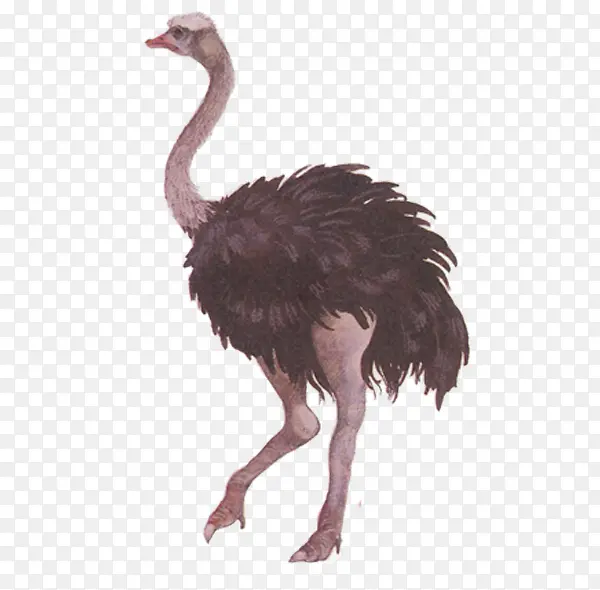 ����-������