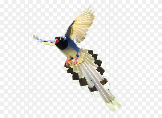 �������-������