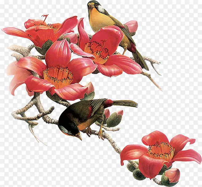 ��ɫ������֦-������