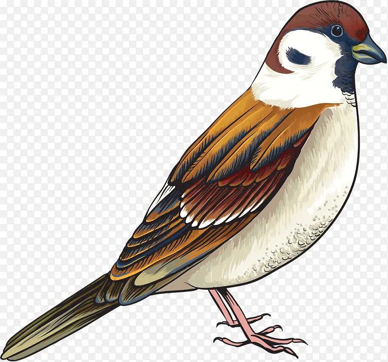 �ɰ���ȸ-������