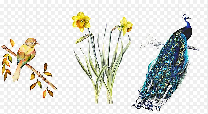 ��ȸ-������