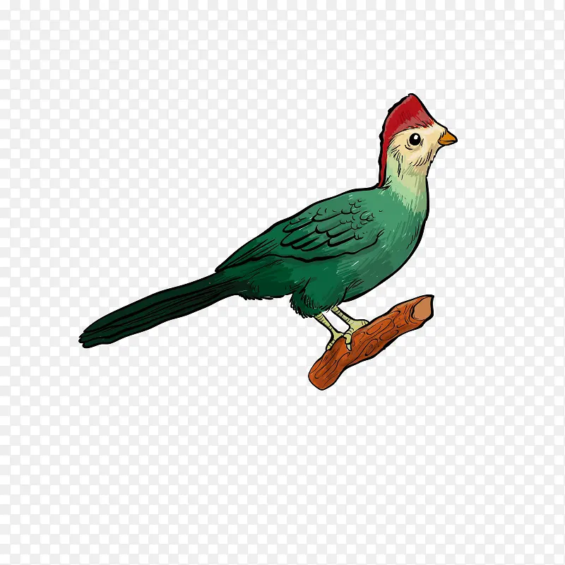 ���-������