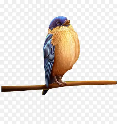 �ɰ�����-������