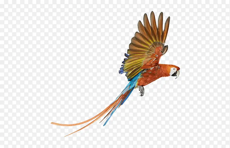 ��ͨ�ֻ�����-������