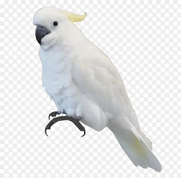 ����-������