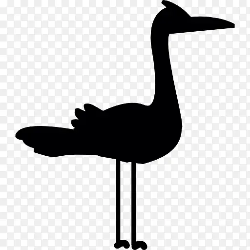 ������ͼ��-������