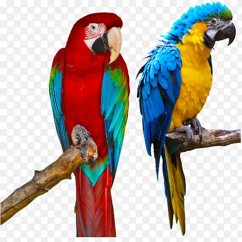 ���Ķ���-������