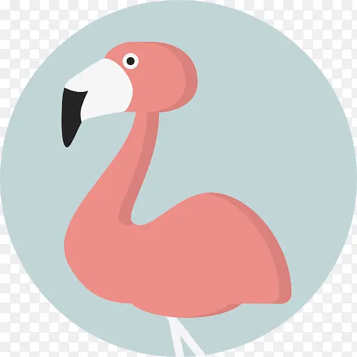 ������ͼ��-������