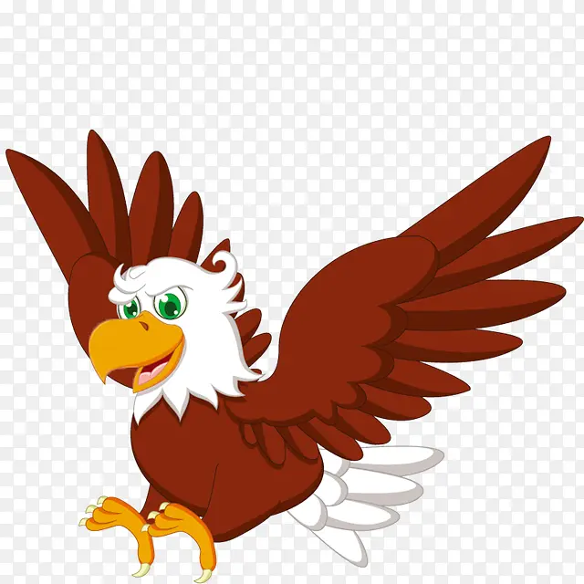 ��ͨ��ӥ-������