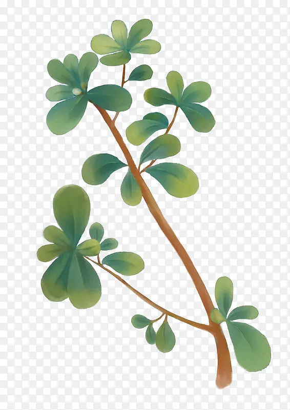 ��ɫ������-������