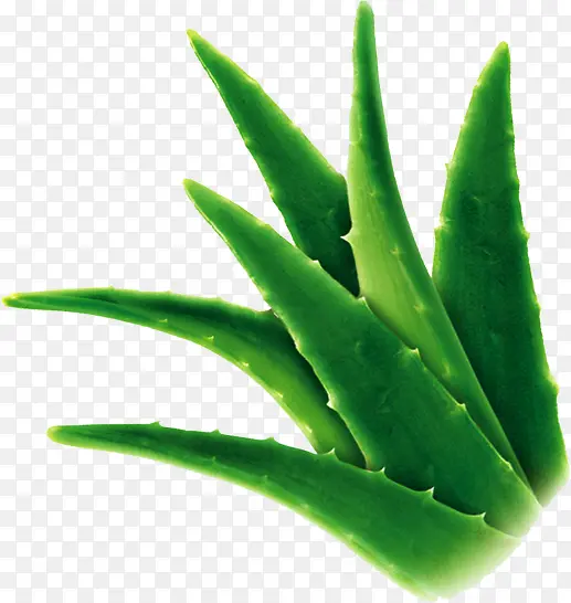 ��ɫ«���Ա�����-������