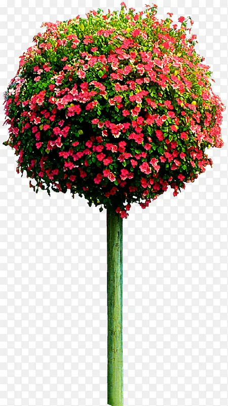 ����-������