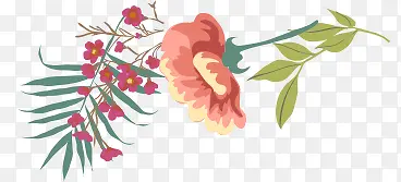 ˮ��ֲ�ﻨ��-������