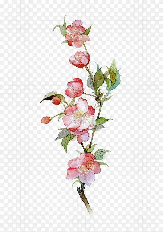 �ʻ�컨ֲ����֦-������