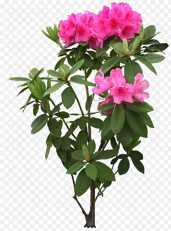 �컨�����軨��-������