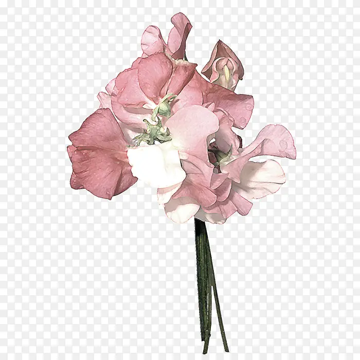 ˮ�ʺ컨ֲ��-������