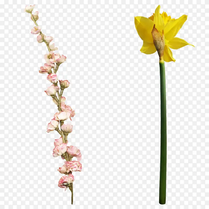 ˮ�ʺ컨�ƻ�-������