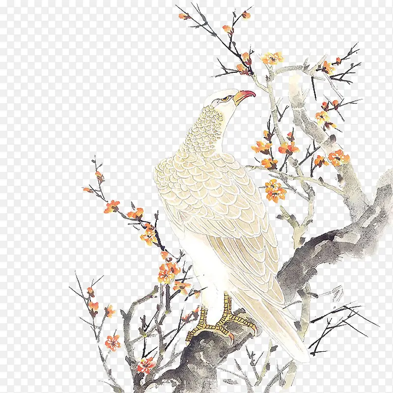 �ŷ�ʻ��ӥ��֦�컨-������