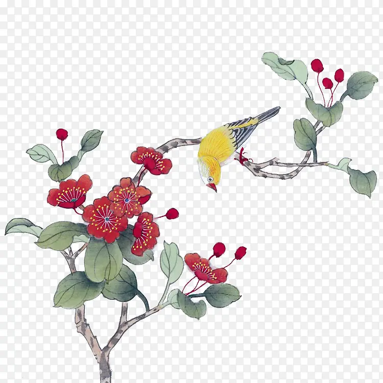 ��֦�컨����-������