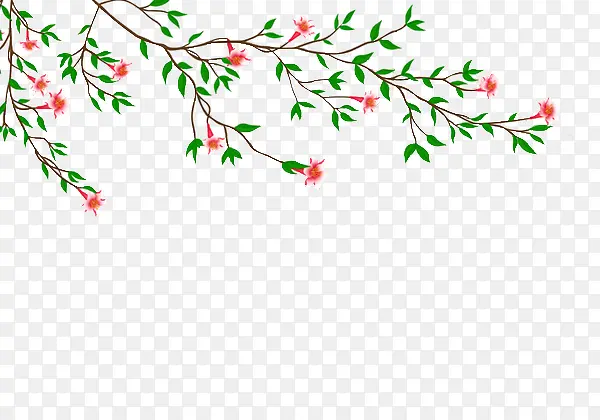 ��ͨΨ����֦�컨-������