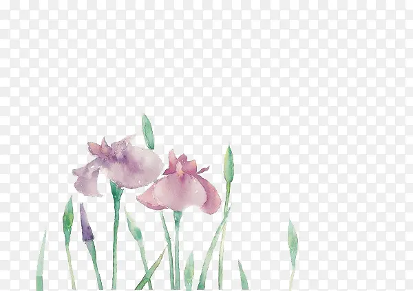 ˮ�ʺ컨-������