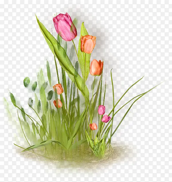 ��ͨ����컨�̲�-������