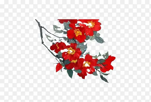 ��ɫ�컨��֦-������