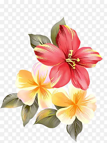 �ֻ�컨 ����-������