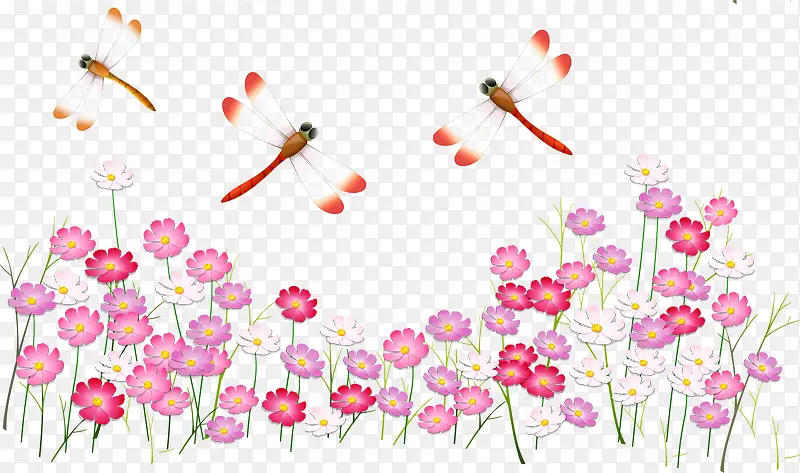 ���� ˮ�ʺ컨-������