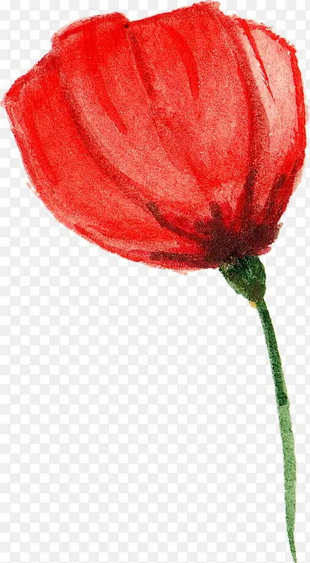 ˮ�ʻ�-������