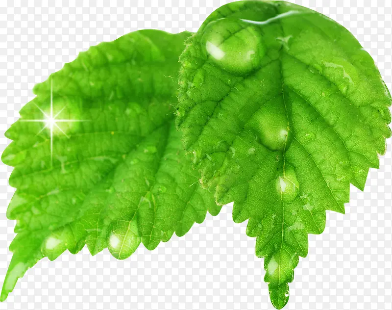 ������ɫЧ����Ч-������