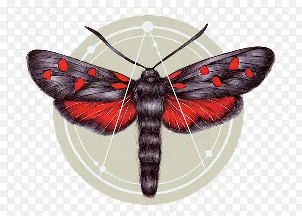 ����-������