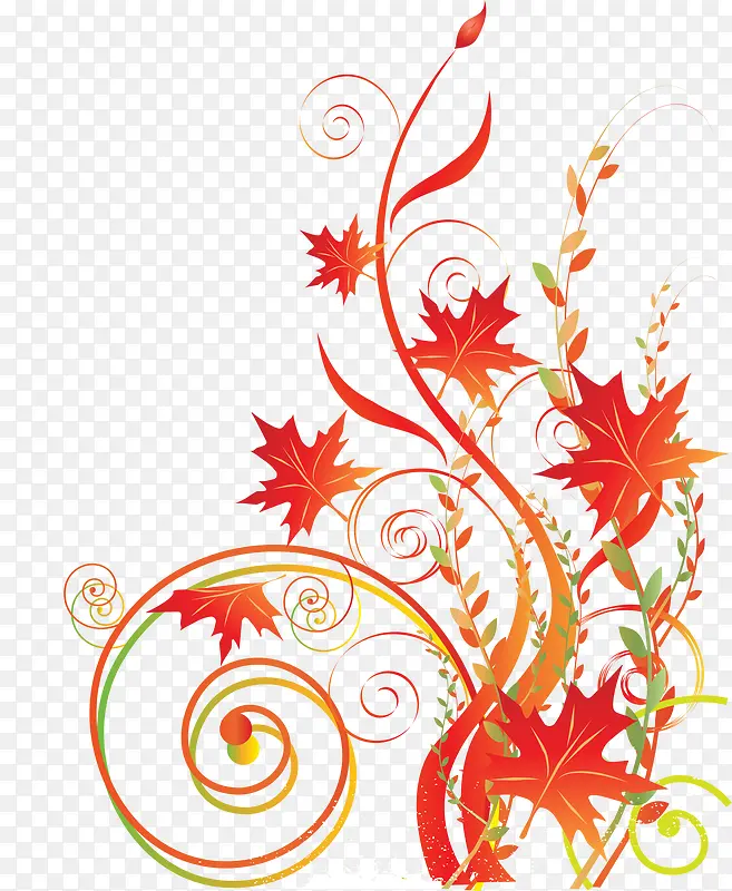 ��ɫ��������-������