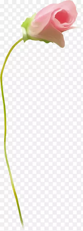 ����ֲ���л�ֲ�ﾥ��õ���-������