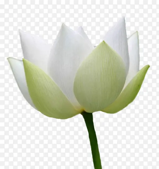 дʵ��ɫ�ٺ�-������