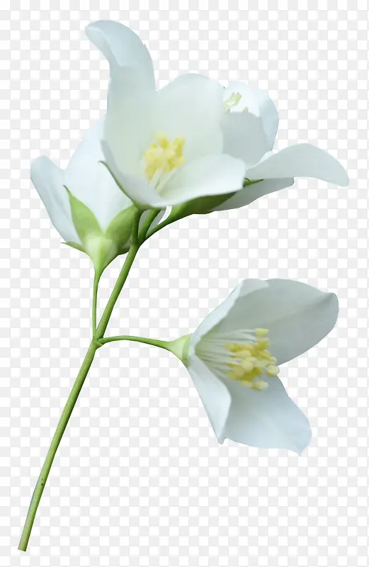 ��ɫ�ٺϻ�������Ӱ-������